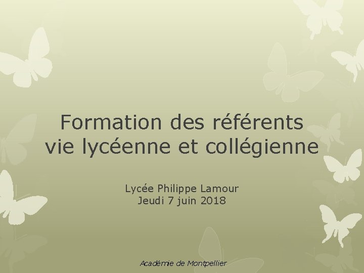 Formation des référents vie lycéenne et collégienne Lycée Philippe Lamour Jeudi 7 juin 2018