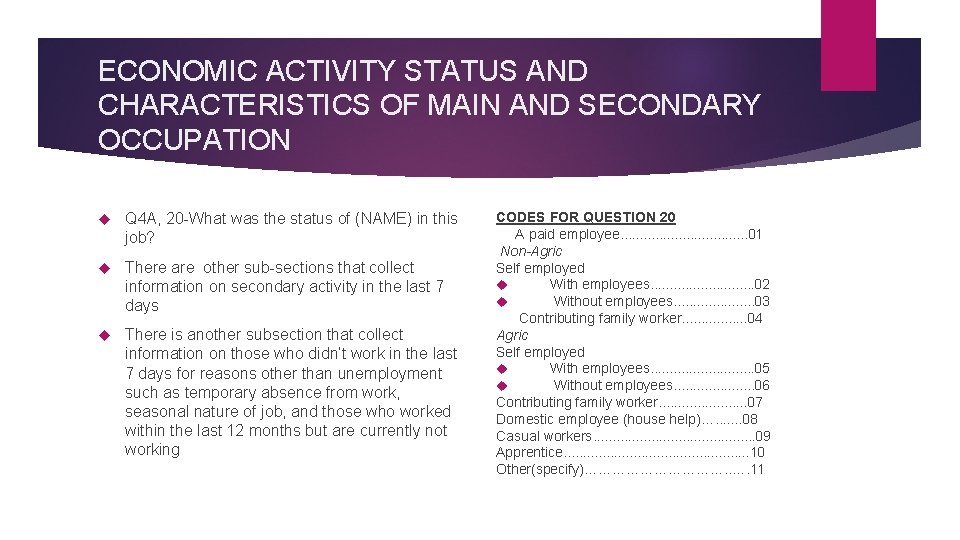 ECONOMIC ACTIVITY STATUS AND CHARACTERISTICS OF MAIN AND SECONDARY OCCUPATION Q 4 A, 20