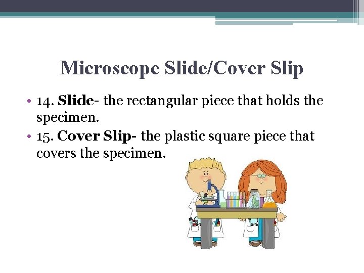 Microscope Notes Lets get to know the Microscope