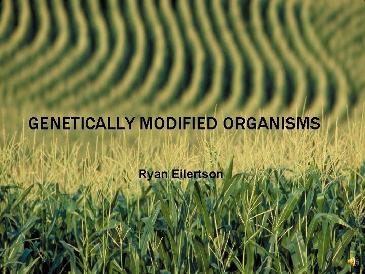 GENETICALLY MODIFIED ORGANISMS Ryan Eilertson 