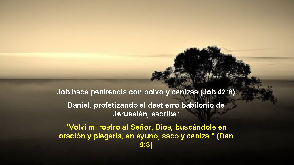 Job hace penitencia con polvo y cenizas (Job 42: 6). Daniel, profetizando el destierro