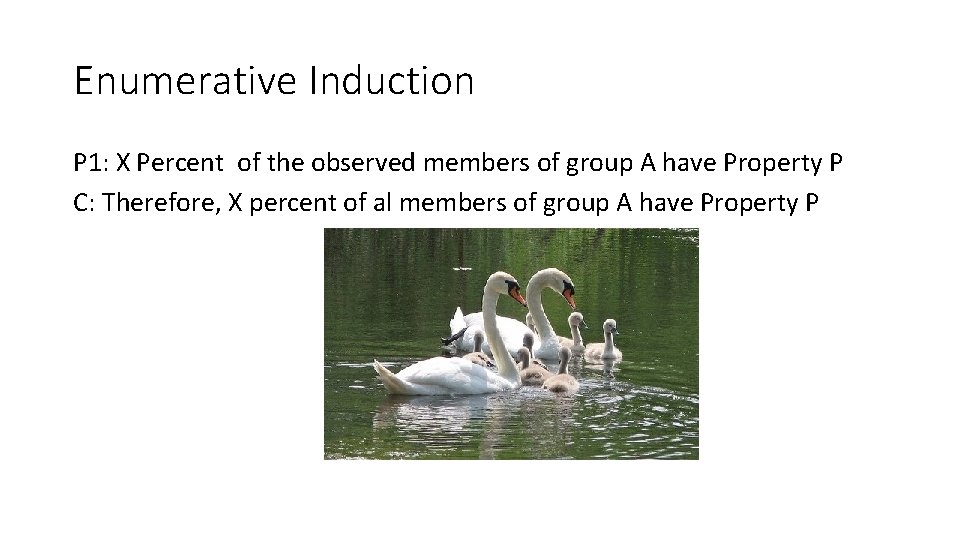 Enumerative Induction P 1: X Percent of the observed members of group A have