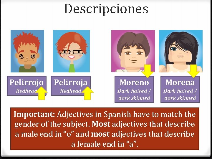 Descripciones Pelirrojo Pelirroja Moreno Morena Redhead Dark haired / dark skinned Important: Adjectives in