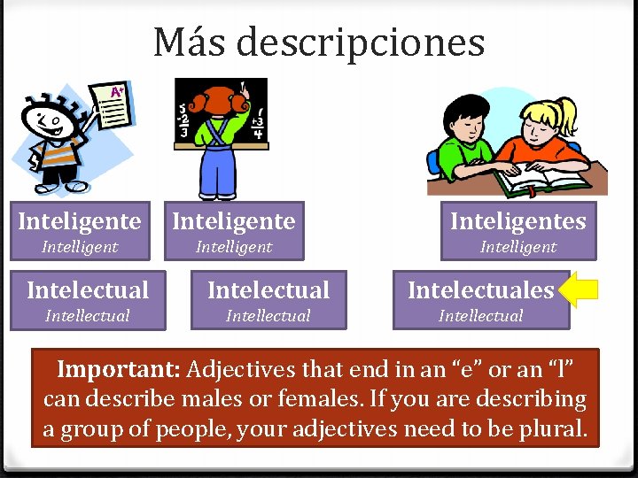 Más descripciones Inteligentes Intelligent Intelectuales Intellectual Important: Adjectives that end in an “e” or