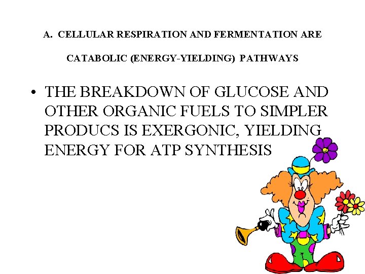 A. CELLULAR RESPIRATION AND FERMENTATION ARE CATABOLIC (ENERGY-YIELDING) PATHWAYS • THE BREAKDOWN OF GLUCOSE A. CELLULAR RESPIRATION AND FERMENTATION ARE CATABOLIC (ENERGY-YIELDING) PATHWAYS • THE BREAKDOWN OF GLUCOSE