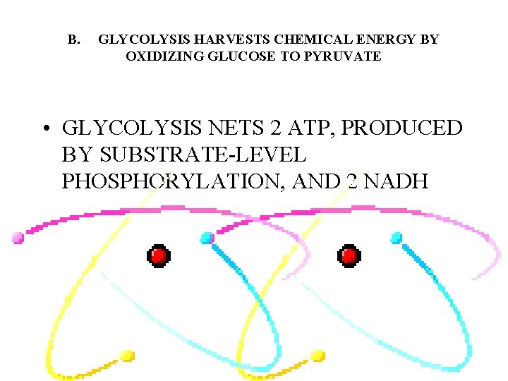 B. GLYCOLYSIS HARVESTS CHEMICAL ENERGY BY OXIDIZING GLUCOSE TO PYRUVATE • GLYCOLYSIS NETS 2 B. GLYCOLYSIS HARVESTS CHEMICAL ENERGY BY OXIDIZING GLUCOSE TO PYRUVATE • GLYCOLYSIS NETS 2