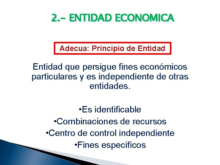 2. - ENTIDAD ECONOMICA Adecua: Principio de Entidad que persigue fines económicos particulares y