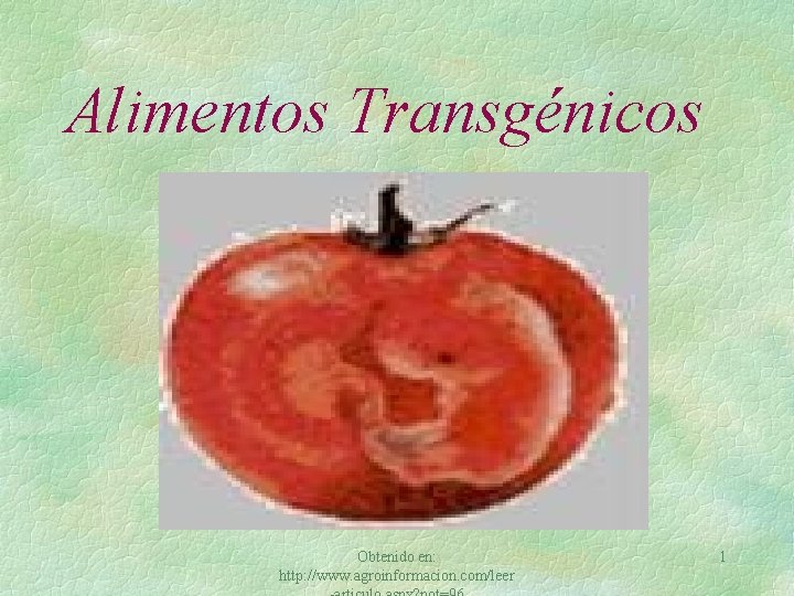 Alimentos Transgénicos Obtenido en: http: //www. agroinformacion. com/leer 1 