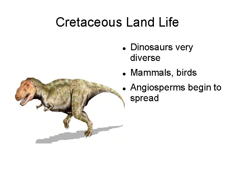 Cretaceous Land Life Dinosaurs very diverse Mammals, birds Angiosperms begin to spread 