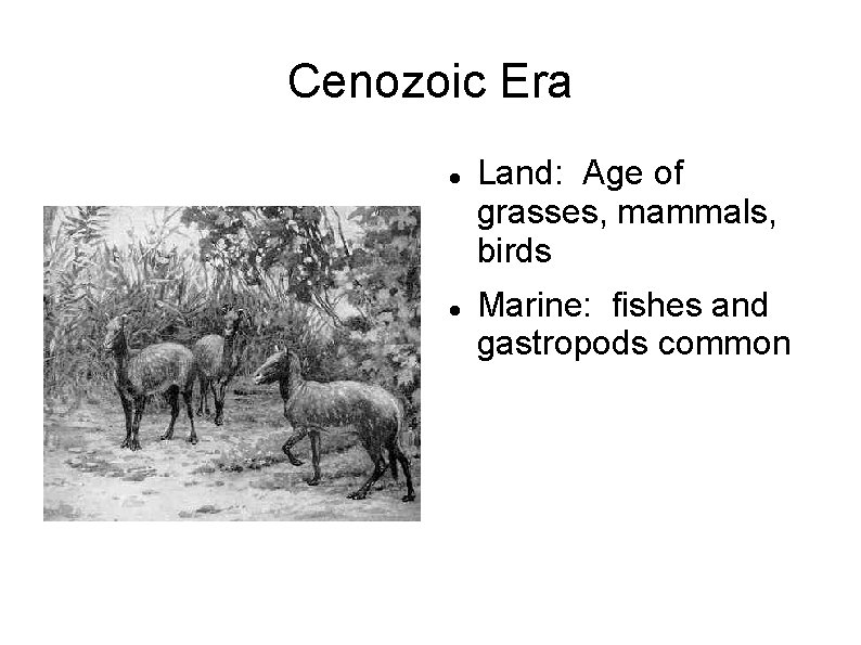 Cenozoic Era Land: Age of grasses, mammals, birds Marine: fishes and gastropods common 