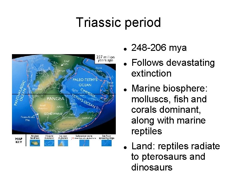 Triassic period 248 -206 mya Follows devastating extinction Marine biosphere: molluscs, fish and corals