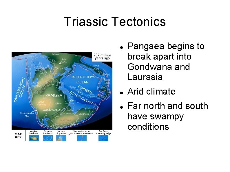 Triassic Tectonics Pangaea begins to break apart into Gondwana and Laurasia Arid climate Far