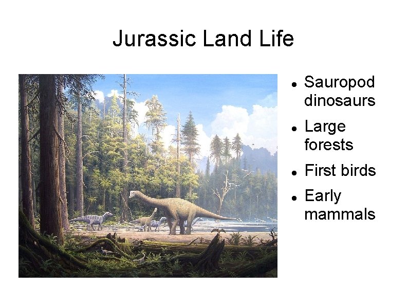 Jurassic Land Life Sauropod dinosaurs Large forests First birds Early mammals 