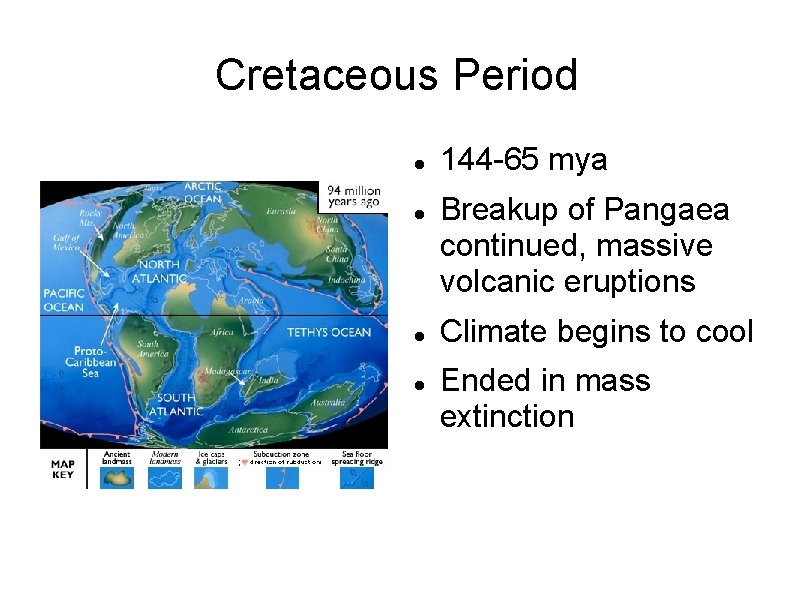 Cretaceous Period 144 -65 mya Breakup of Pangaea continued, massive volcanic eruptions Climate begins