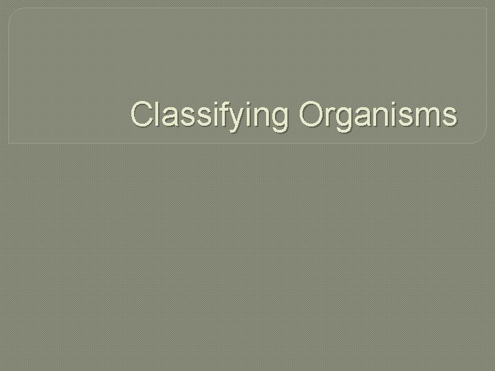 Classifying Organisms 