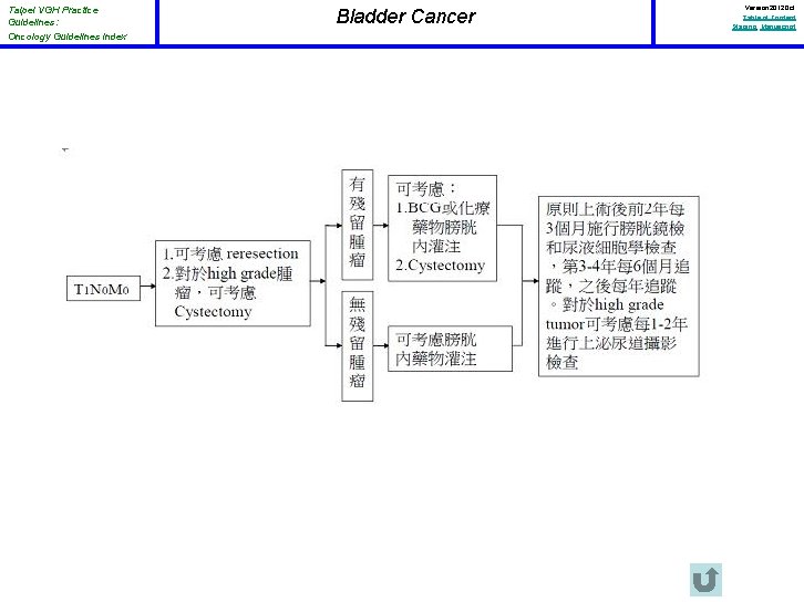 Taipei VGH Practice Guidelines: Oncology Guidelines Index Bladder Cancer Version 2012 Oct Table of