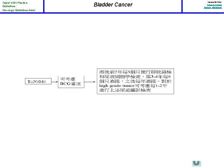 Taipei VGH Practice Guidelines: Oncology Guidelines Index Bladder Cancer Version 2012 Oct Table of