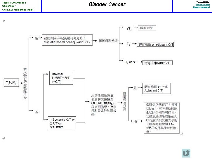 Taipei VGH Practice Guidelines: Oncology Guidelines Index Bladder Cancer Version 2012 Oct Table of