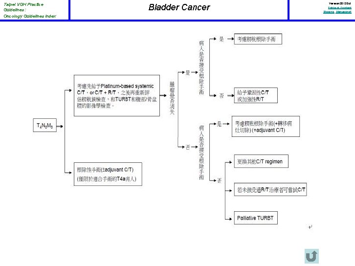 Taipei VGH Practice Guidelines: Oncology Guidelines Index Bladder Cancer Version 2012 Oct Table of