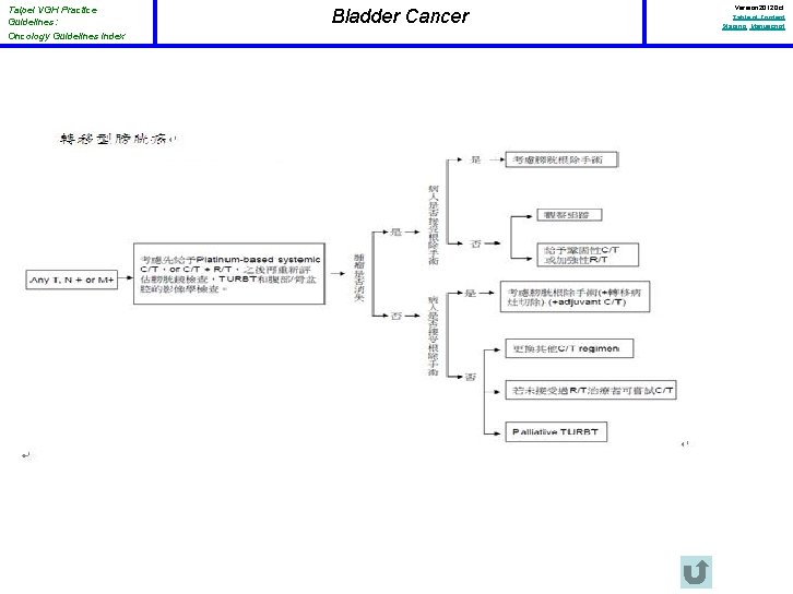 Taipei VGH Practice Guidelines: Oncology Guidelines Index Bladder Cancer Version 2012 Oct Table of