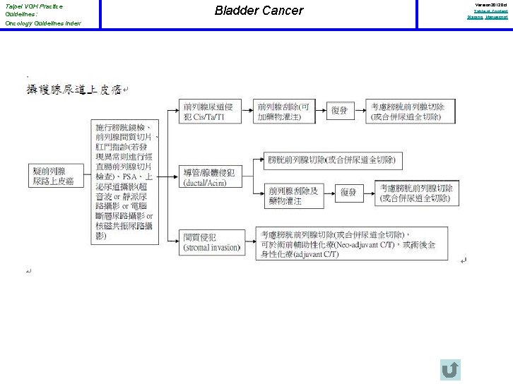 Taipei VGH Practice Guidelines: Oncology Guidelines Index Bladder Cancer Version 2012 Oct Table of