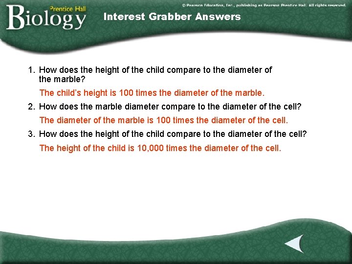 Interest Grabber Answers 1. How does the height of the child compare to the