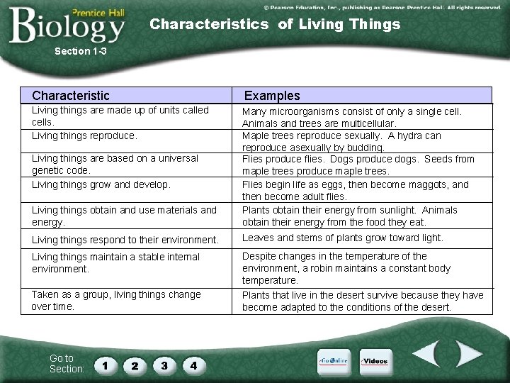 Characteristics of Living Things Section 1 -3 Characteristic Examples Living things are made up