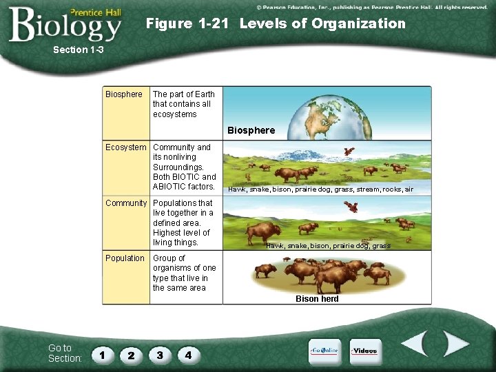 Figure 1 -21 Levels of Organization Section 1 -3 Biosphere The part of Earth