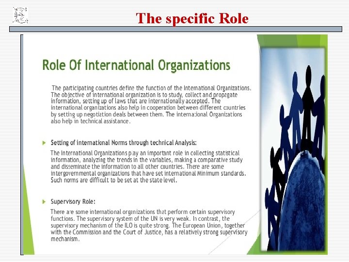 The specific Role 28 