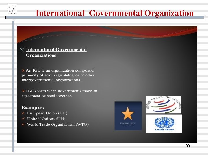 International Governmental Organization 33 