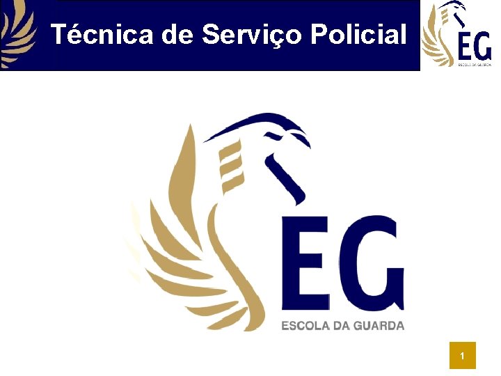 Técnica de Serviço Policial 1 