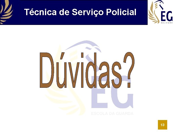 Técnica de Serviço Policial 13 