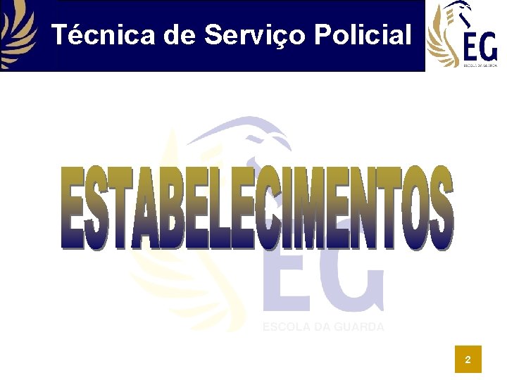 Técnica de Serviço Policial 2 