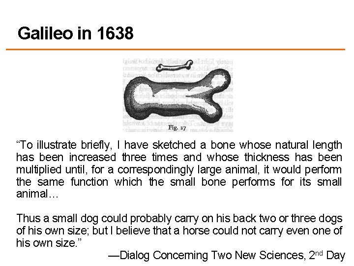 Galileo in 1638 “To illustrate briefly, I have sketched a bone whose natural length