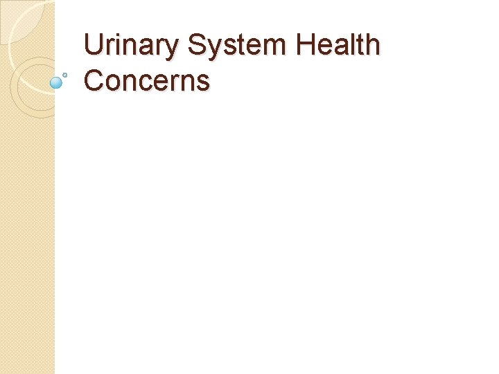 Urinary System Health Concerns 