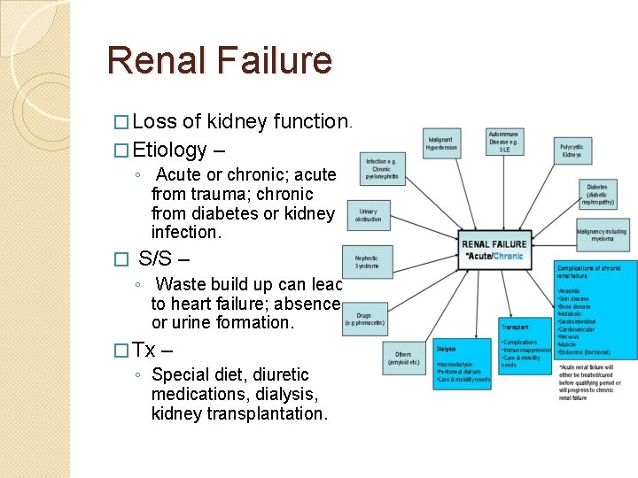 Renal Failure � Loss of kidney function. � Etiology – ◦ Acute or chronic;