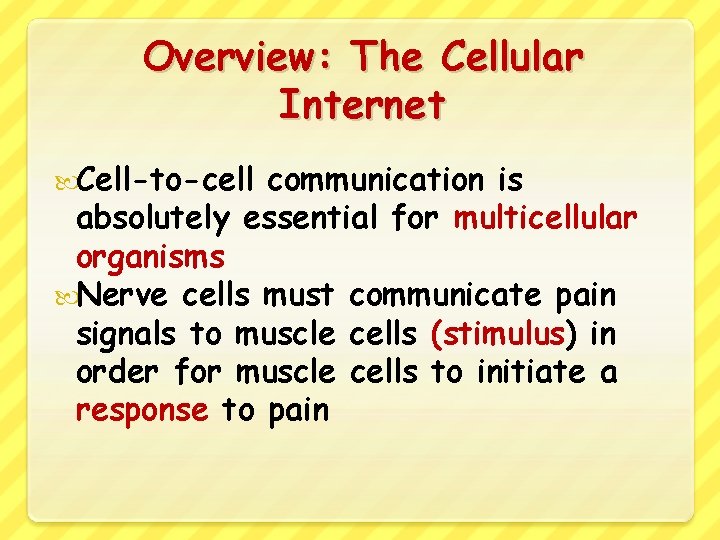 Overview: The Cellular Internet Cell-to-cell communication is absolutely essential for multicellular organisms Nerve cells