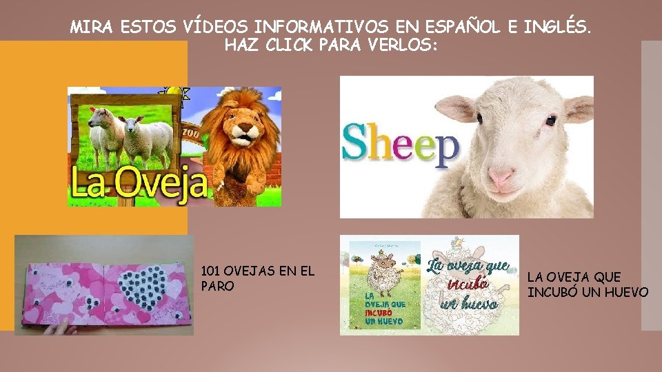 MIRA ESTOS VÍDEOS INFORMATIVOS EN ESPAÑOL E INGLÉS. HAZ CLICK PARA VERLOS: 101 OVEJAS