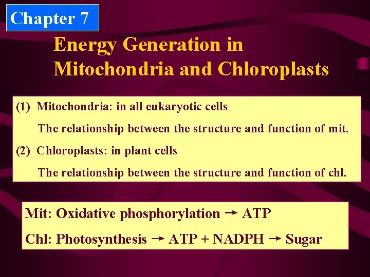 Chapter 7 Energy Generation in Mitochondria and Chloroplasts