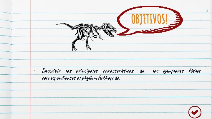 OBJETIVOS! • Describir las principales características de correspondientes al phyllum Arthopoda. los ejemplares fósiles