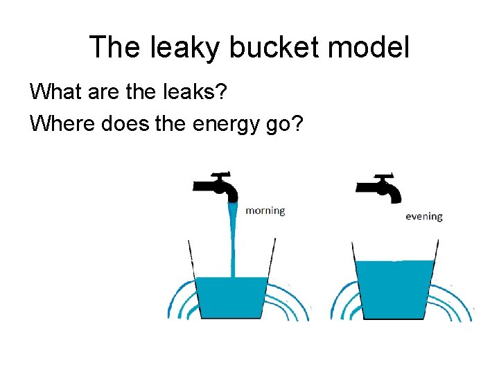 The leaky bucket model What are the leaks? Where does the energy go? 