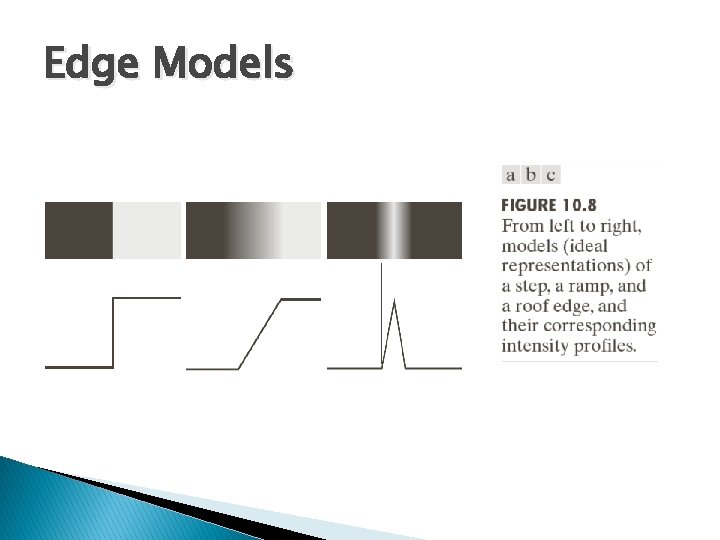 Edge Models 