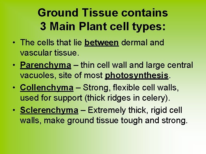 Ground Tissue contains 3 Main Plant cell types: • The cells that lie between