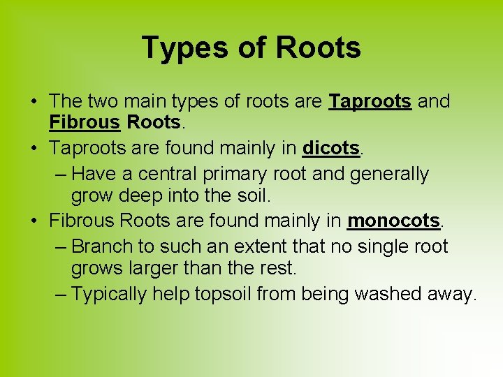 Types of Roots • The two main types of roots are Taproots and Fibrous