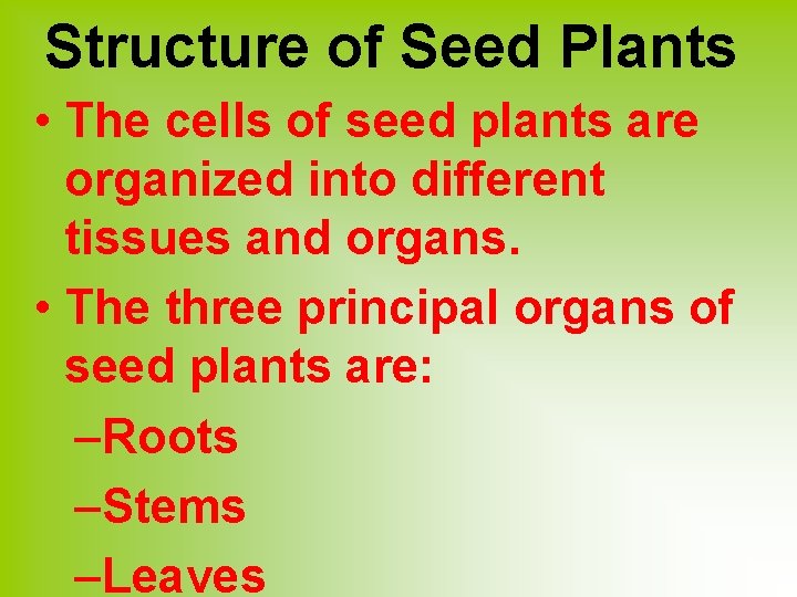 Structure of Seed Plants • The cells of seed plants are organized into different