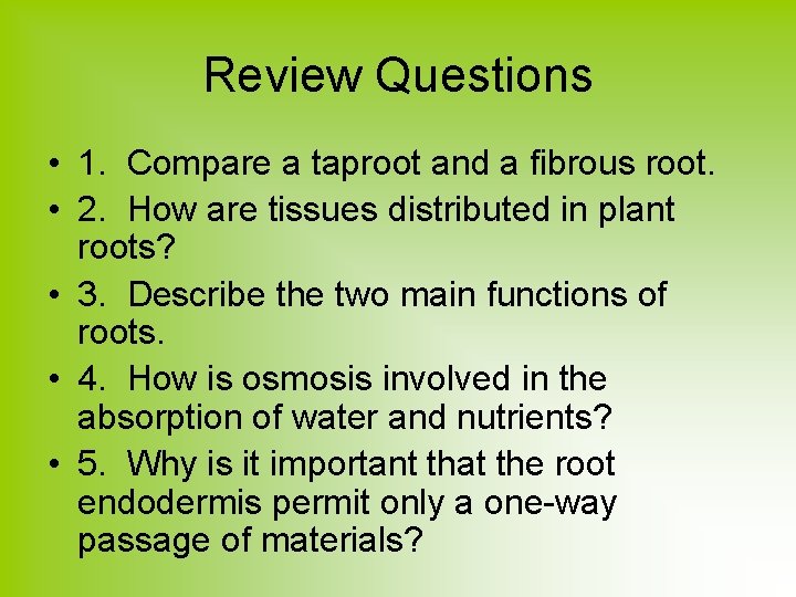 Review Questions • 1. Compare a taproot and a fibrous root. • 2. How