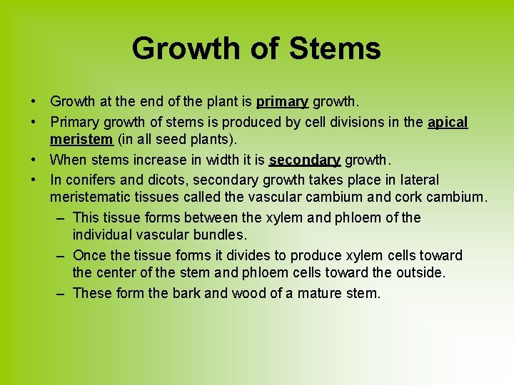 Growth of Stems • Growth at the end of the plant is primary growth.