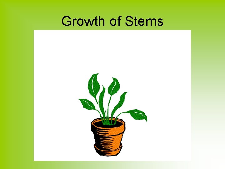 Growth of Stems 