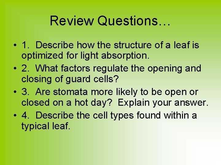 Review Questions… • 1. Describe how the structure of a leaf is optimized for