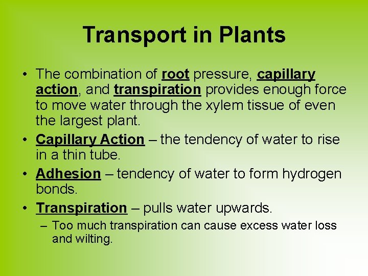 Transport in Plants • The combination of root pressure, capillary action, and transpiration provides